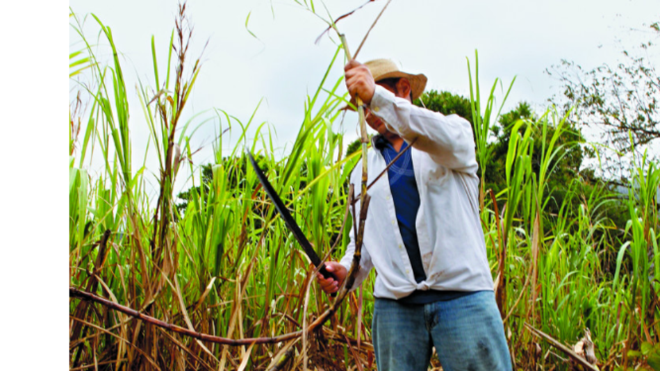 Exportaciones regresan a terreno positivo
