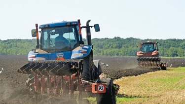 China otorga más subsidios a los productores de soya