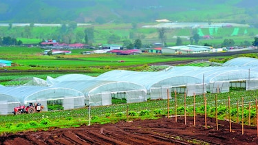 Tiempo de invernaderos