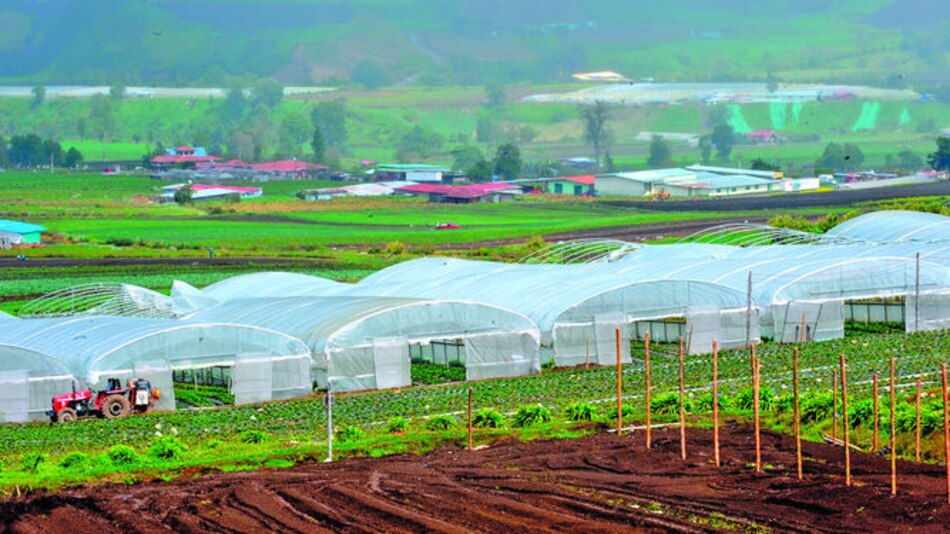Tiempo de invernaderos
