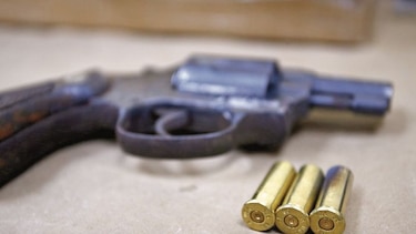 Los portadores de armas tienen un nuevo carné