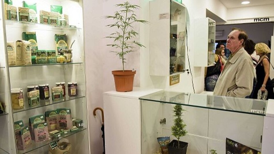 Abre en Uruguay un museo para el buen uso del cannabis