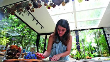 El ingrediente que falta para emprender