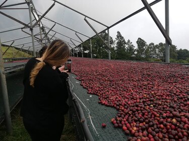 $500 millones de inversión para impulsar el occidente