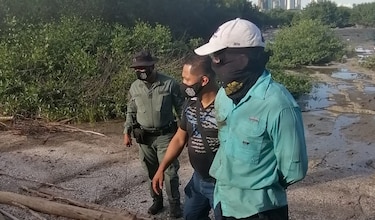 Tras denuncia en redes sociales capturan a hombre que talaba manglares en Coco del Mar