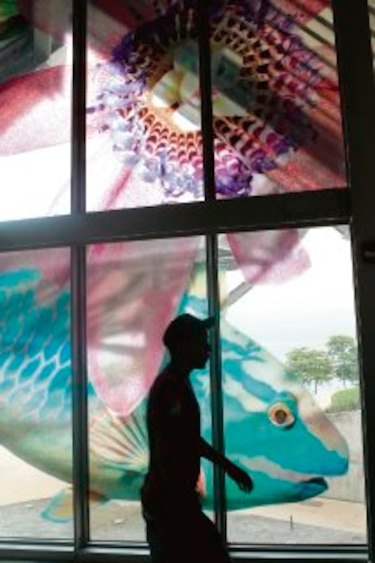 Biomuseo: portal al conocimiento