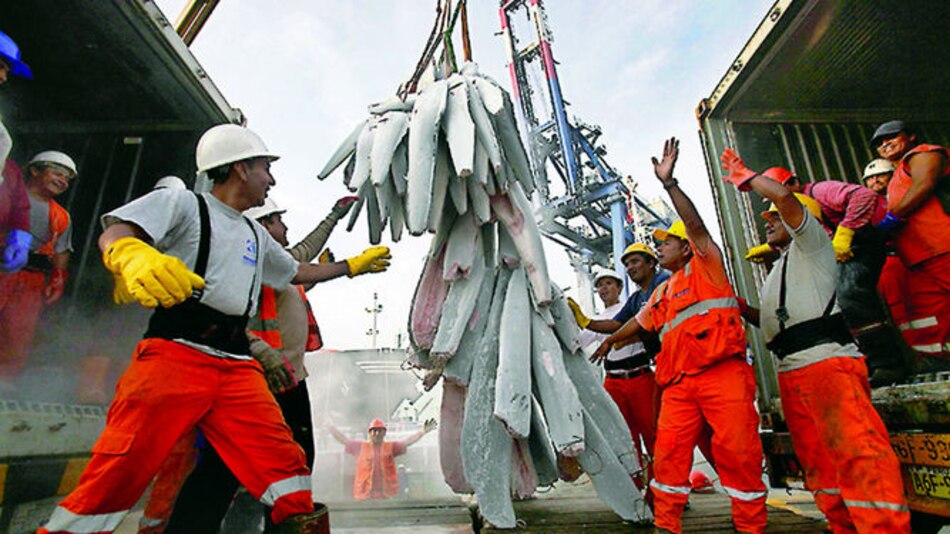 Perú lidera exportación de harina de pescado