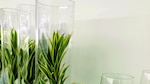 Cocina gourmet: Cocina colorida
