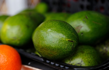 El aguacate, protagonista en la dieta flexitariana