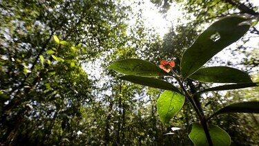 Área del parque Soberanía pasará a manos de la Alcaldía capitalina