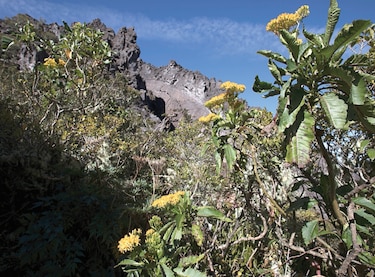 De vuelta al volcán