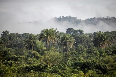 El negocio del miedo ambiental
