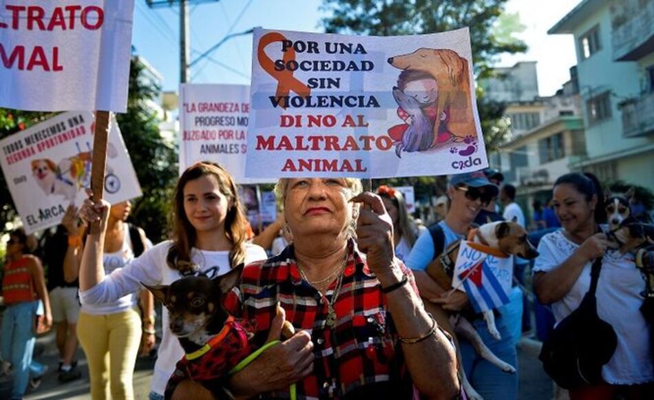 Hecho inédito: Cuba autoriza marcha de un grupo defensor de animales