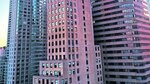 Nueva York y sus criaturas