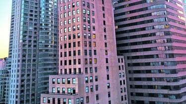 Nueva York y sus criaturas