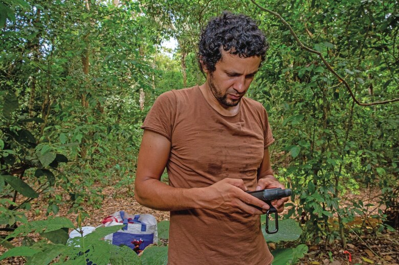 El olor de los ocelotes ahuyenta a los roedores que dispersan semillas