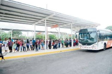 Inquietud por nuevo modelo de buses para rutas internas