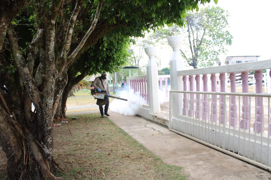 Panamá registra 103 casos por dengue en lo que va del año