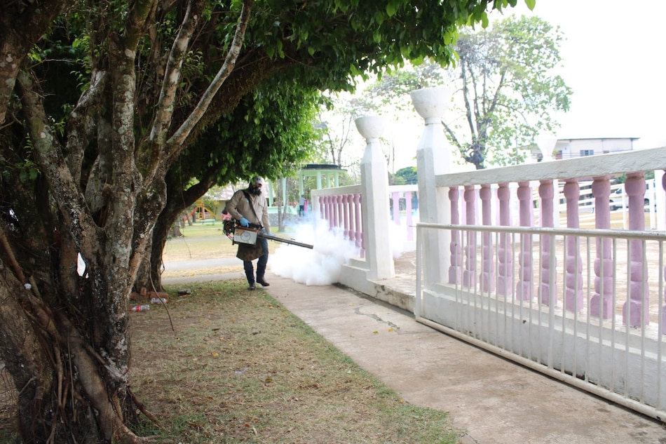 Panamá registra 103 casos por dengue en lo que va del año