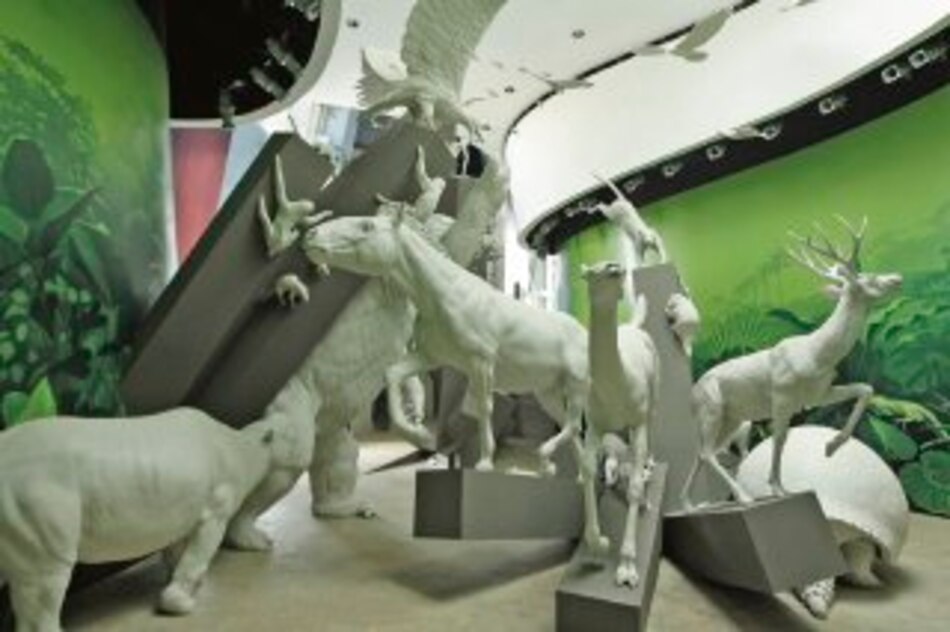 Puente de vida en detalle