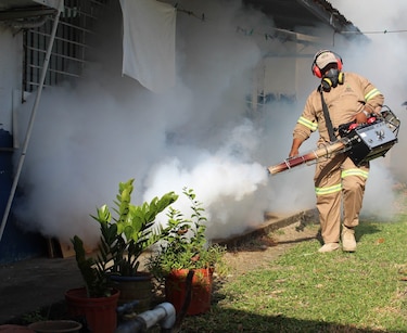 Minsa confirma el fallecimiento de una mujer por dengue en Los Santos; van 18 decesos en el país