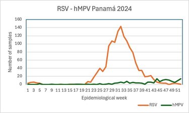 Metapneumovirus en China: el virus respiratorio que genera preocupación mundial