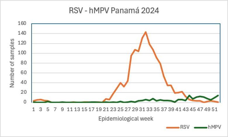 Metapneumovirus en China: el virus respiratorio que genera preocupación mundial