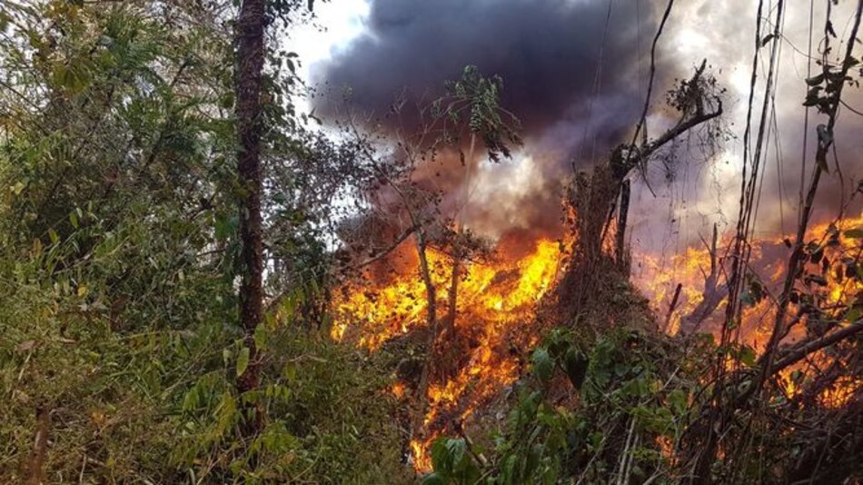 Fuego dentro del vertedero de Macaracas avanza hacia el bosque del área protegida El Colmón
