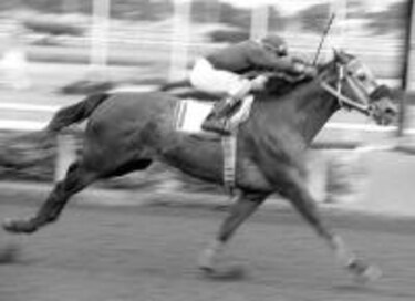 Redactor estrena su título de mejor dosañero del 2001