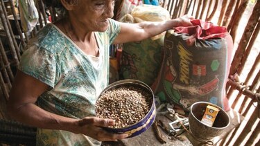 Colmena, la propuesta para erradicar la pobreza