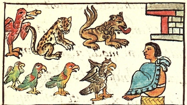 El zoológico de Moctezuma que asombró a los españoles hace 500 años y que recién ahora empezamos a conocer