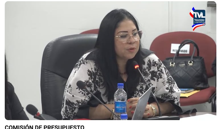 Millonarios pagos por terrenos estatales: diputado Palacios exige transparencia en contrato con empresa del ferrocarril