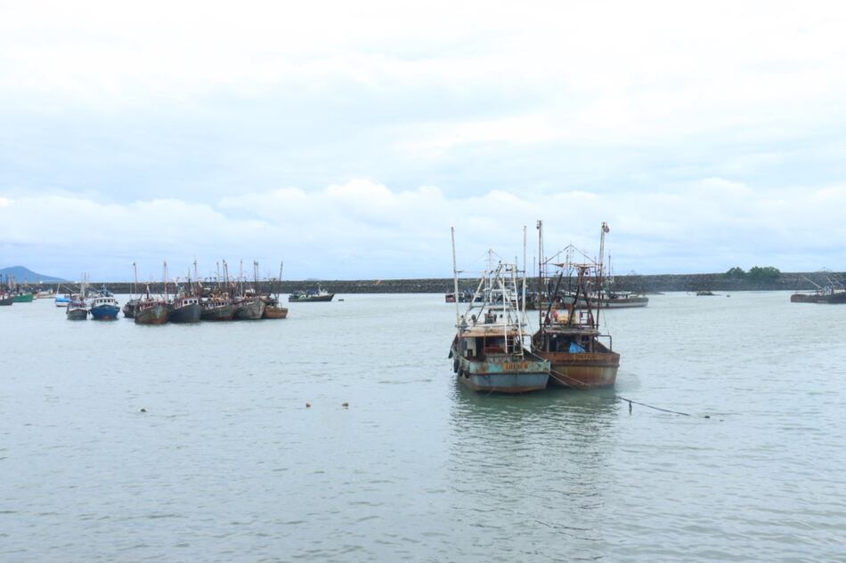 ARAP levanta la veda del camarón y anuncia nueva temporada de pesca hasta enero de 2026