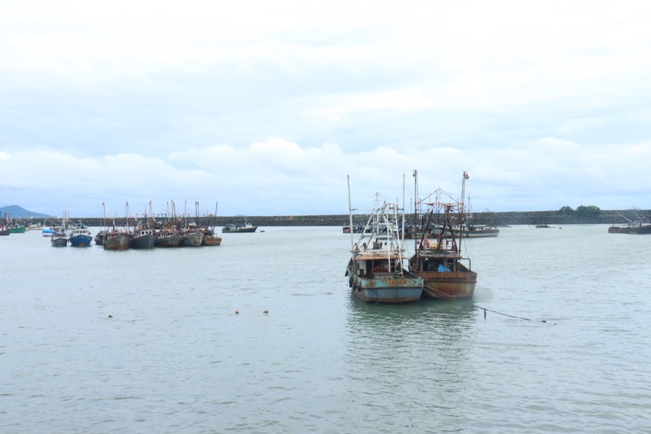 ARAP levanta la veda del camarón y anuncia nueva temporada de pesca hasta enero de 2026