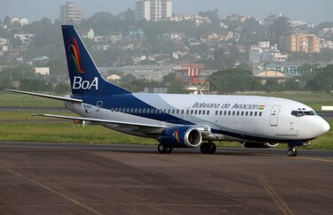 Aerolínea estatal de Bolivia, bajo investigación por el extravío de un gato