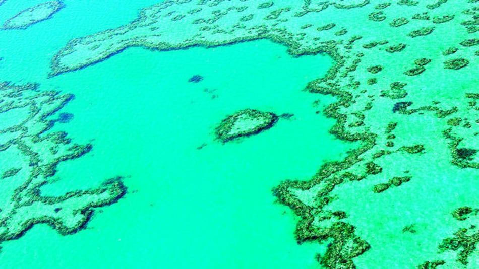 El valor de la Gran Barrera