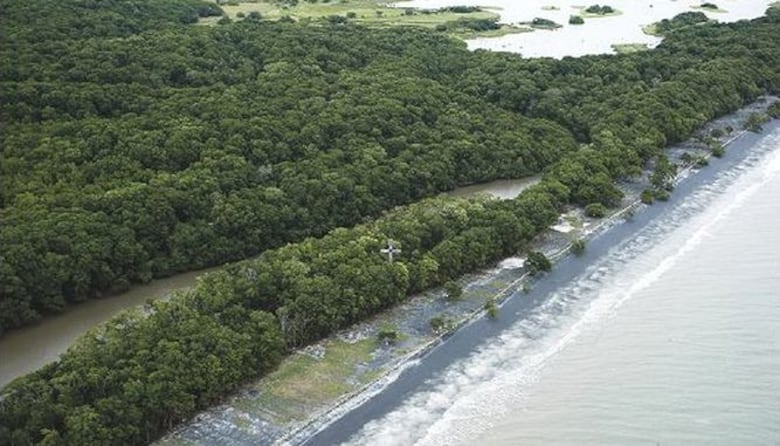 Jimmy Papadimitriu, frente a su pasado