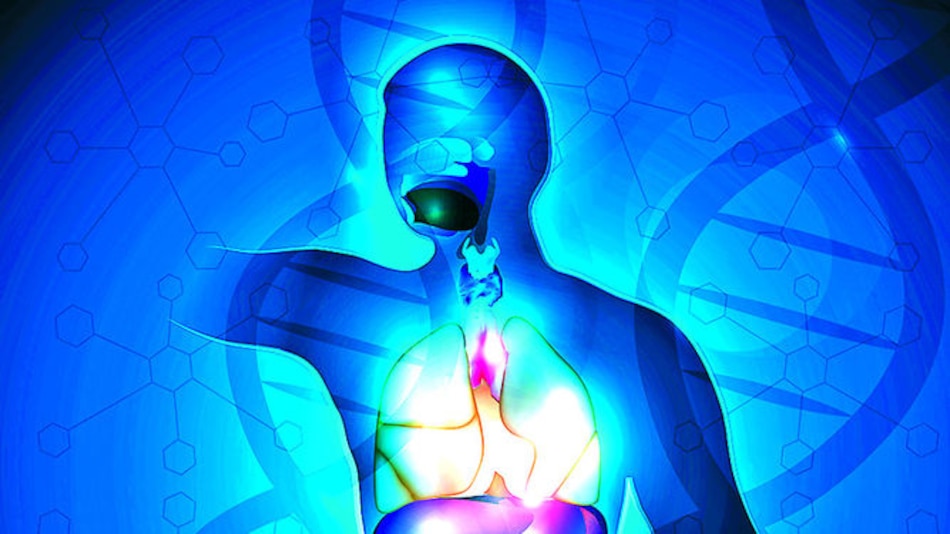 A favor de la salud gástrica