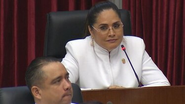 ¿Diputada Zulay Rodríguez incumple  compromiso con gremios periodísticos?