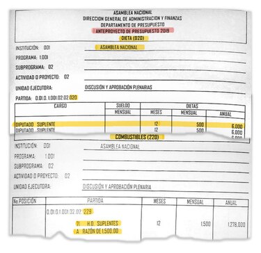 Asamblea Nacional oculta salarios de suplentes en presupuesto de combustible de 2019