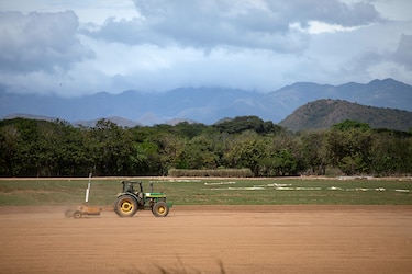 Mayor demanda de créditos para el agro, el comercio y los hogares impulsaron los préstamos bancarios en el primer semestre
