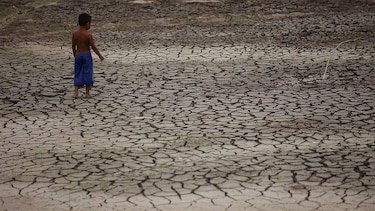 ‘El planeta en el que nosotros nacimos ya no existe’: el climatólogo que alerta de la epidemia de eventos extremos