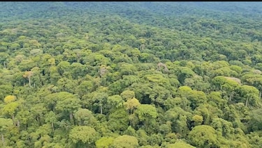 El biólogo Segundo Sugasti asume la dirección del Parque Nacional Darién