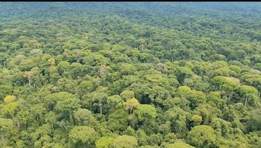 El biólogo Segundo Sugasti asume la dirección del Parque Nacional Darién
