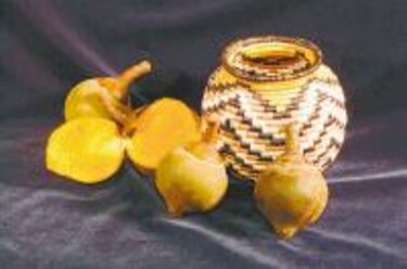 Otros habitantes Nuevo en el mercado: El zapote Fauna y flora urbana Por Jorge Ventocilla Instituto Smithsonian