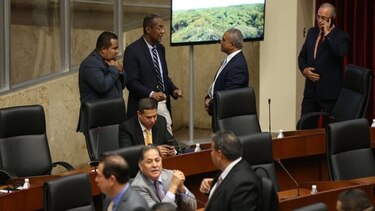 16 diputados podrán litigar como abogados