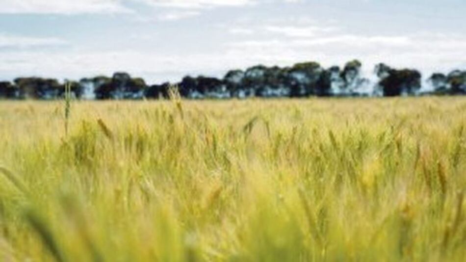 China teme sequía severa