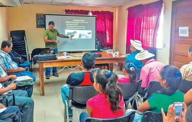 Felinos, educación y conservación
