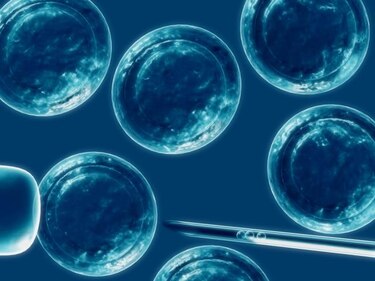 Células inmunitarias contribuyen en metástasis