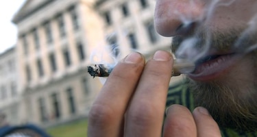Aumenta el consumo de marihuana en Estados Unidos durante la última década